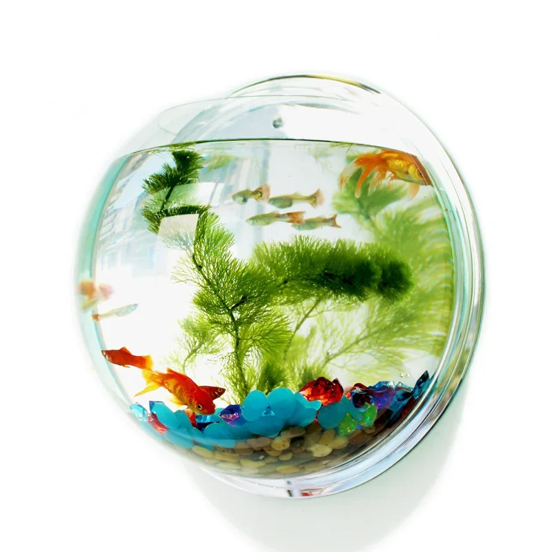 Betta Fish Tank - Pinsjar acrílico tigela de peixes parede