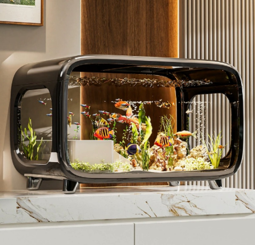Fish Aquarium Home - Aquário ecológico transparente e criativo com