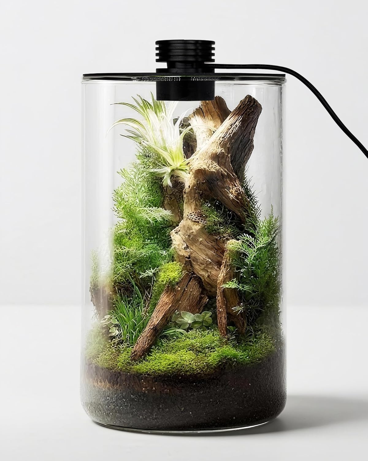 Betta Fish Tank - Terrário de Vidro Interno com Luz