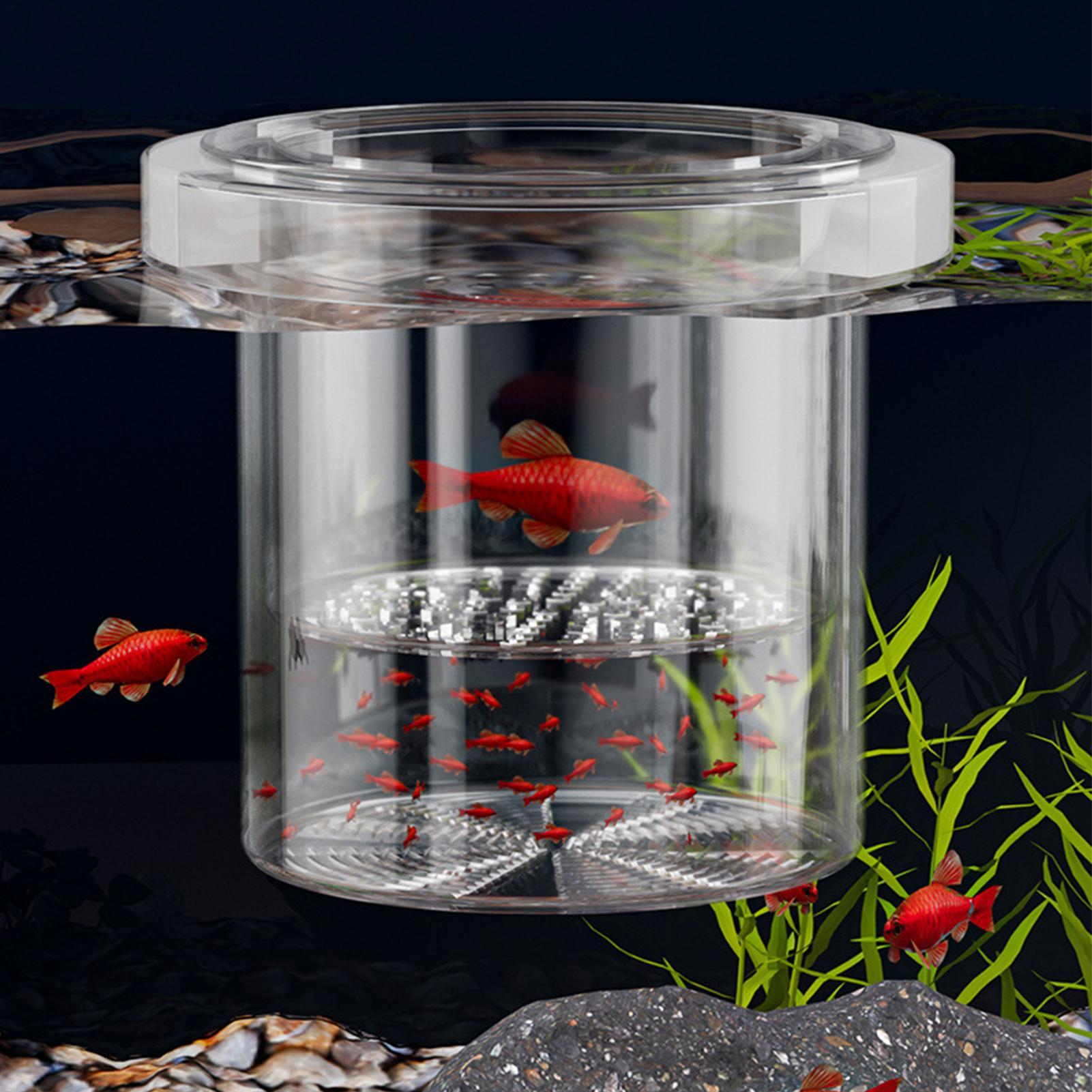 Caixa Durável para Criação de  - Betta Fish Tank avaliação e preço