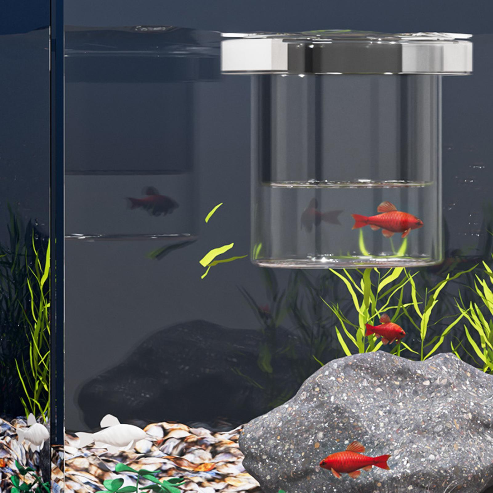 Caixa Durável para Criação de  - Betta Fish Tank avaliação e preço