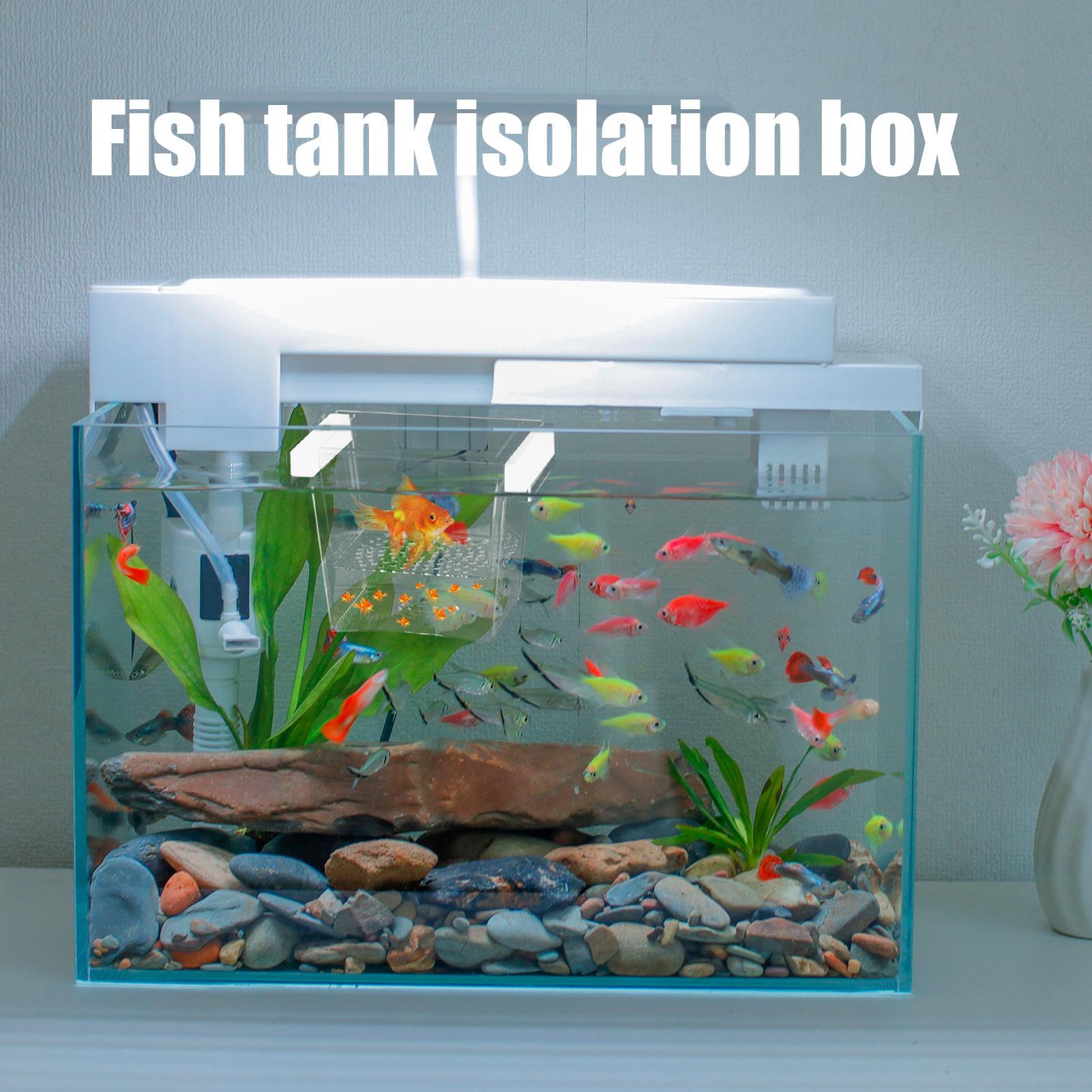 Caixa Durável para Criação de  - Betta Fish Tank avaliação e preço