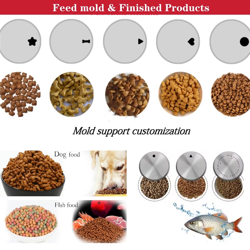 Máquina Extrusora de Alimentos - Fish Food avaliação e preço
