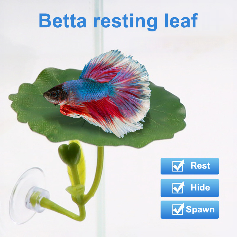 (Ce14)1/5PC Rede de Folhas Ver - Aquarium Fish Betta avaliação e preço