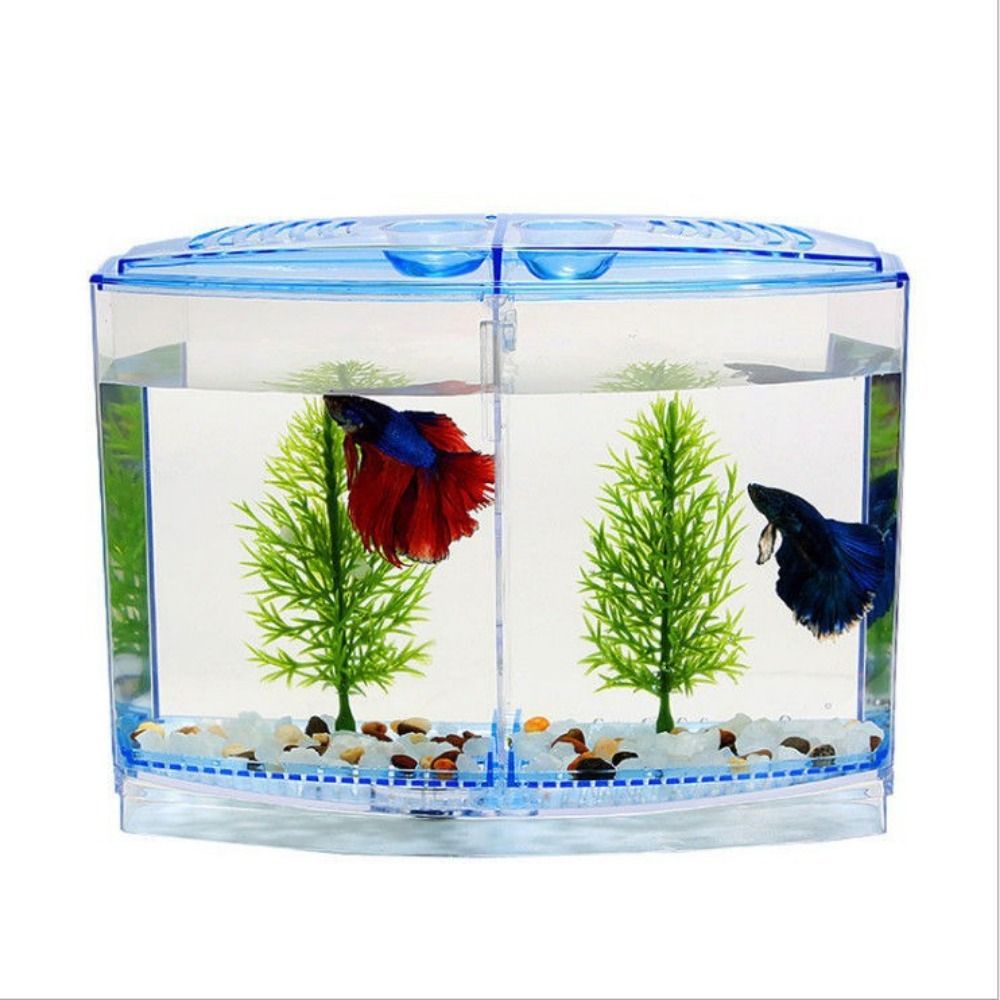 Transparente Betta Fish Tank,  - Aquarium Fish Betta avaliação e preço