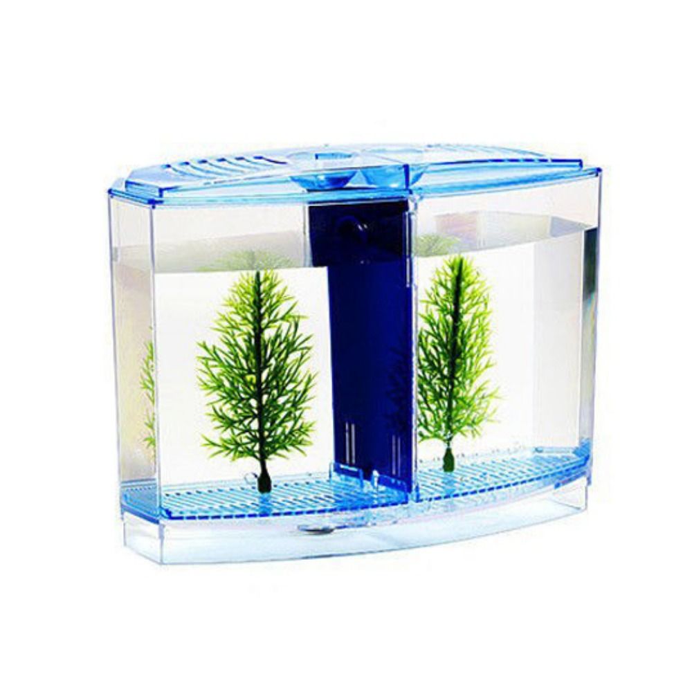 Transparente Betta Fish Tank,  - Aquarium Fish Betta avaliação e preço