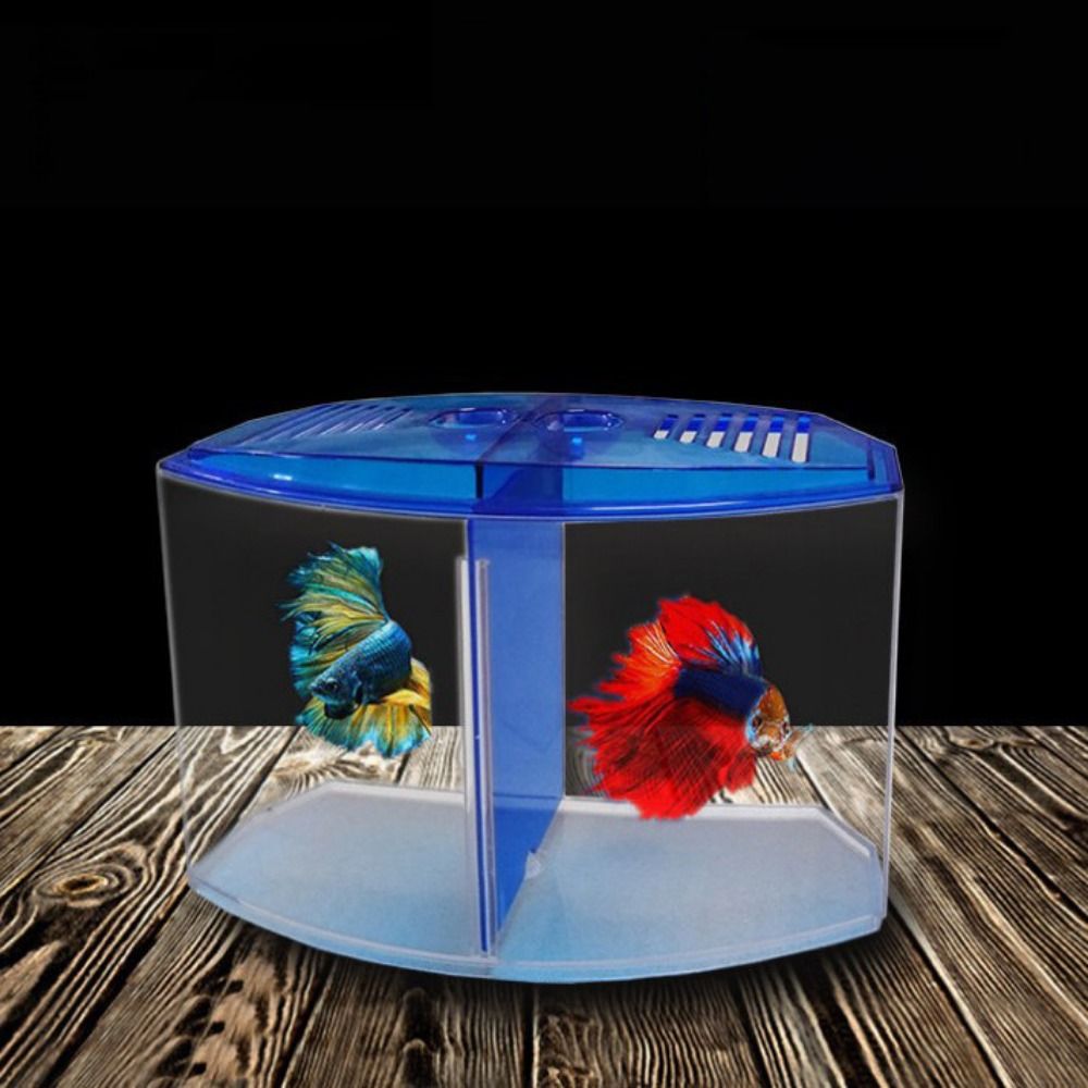 Transparente Betta Fish Tank,  - Aquarium Fish Betta avaliação e preço