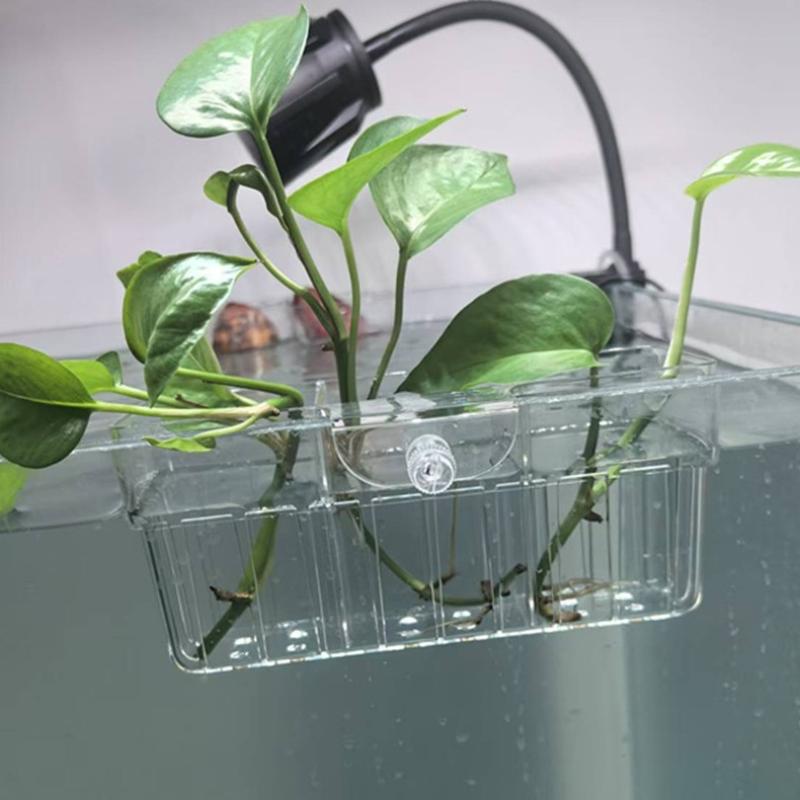 Cesto para Plantas Hidropônica - Fish Aquarium Home avaliação e preço