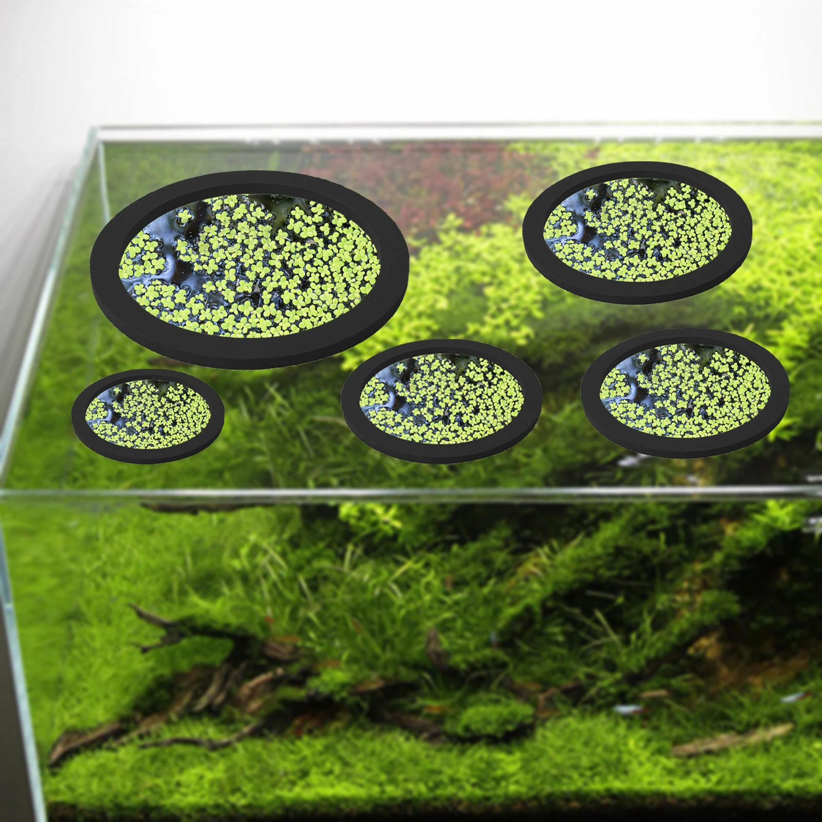 5 pçs eva anel de alimentação  - Fish Aquarium Home avaliação e preço