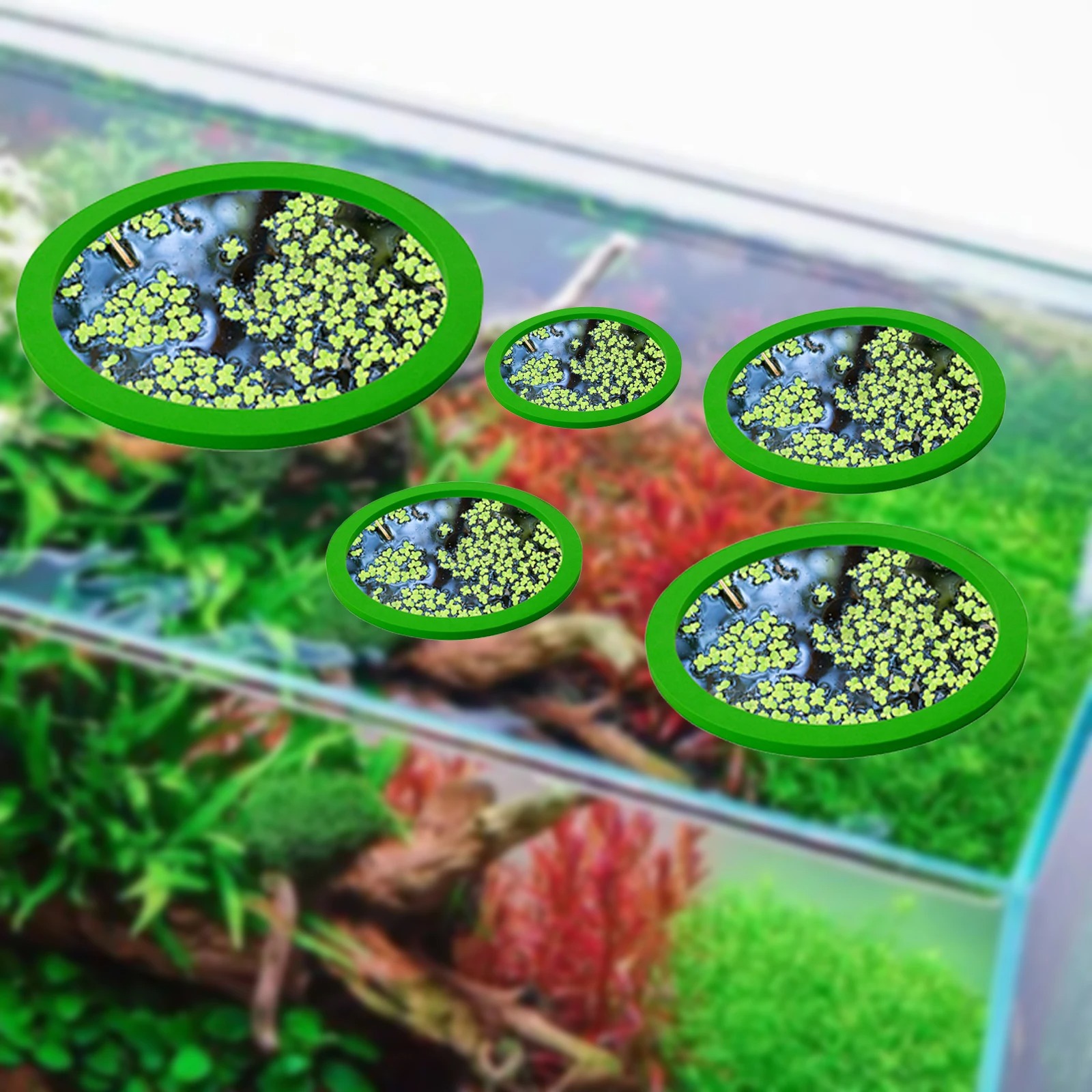 5 pçs eva anel de alimentação  - Fish Aquarium Home avaliação e preço