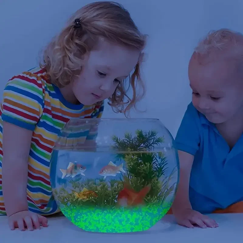 1000 pçs 3-5mm areia luminosa  - Fish Tank Gravel avaliação e preço