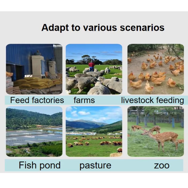Extrusora de Ração para Cães,  - Fish Food avaliação e preço