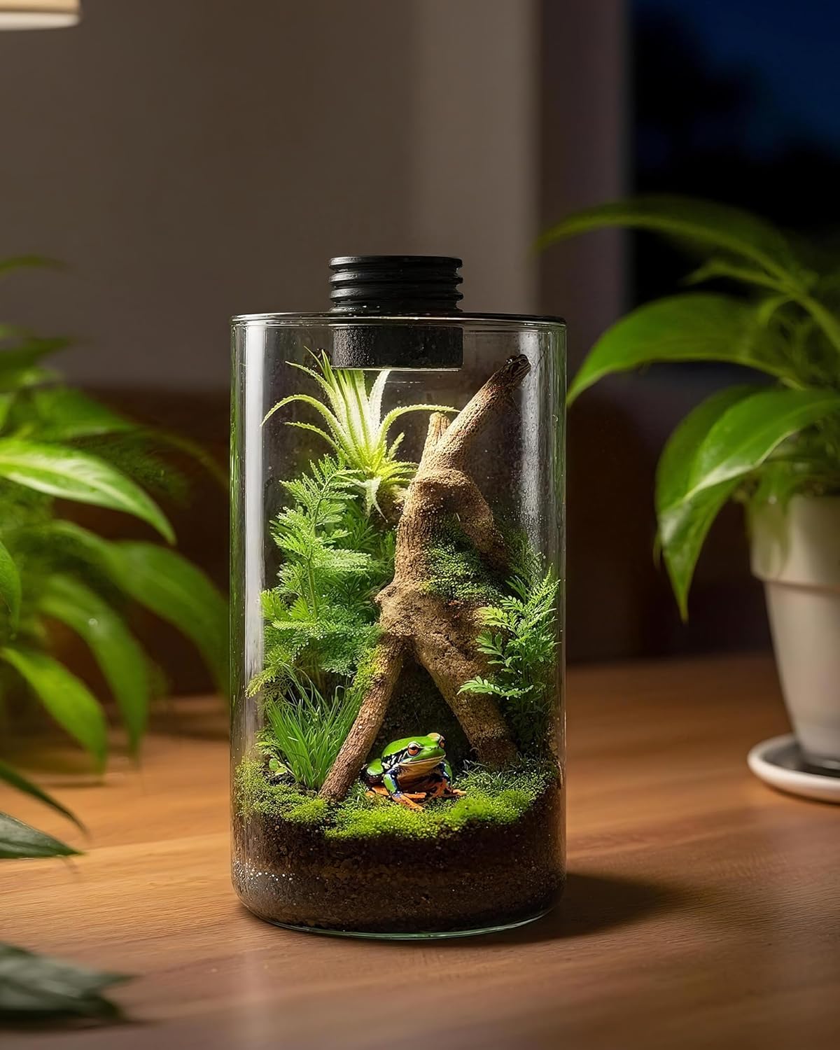 Terrário de Vidro Interno com  - Betta Fish Tank avaliação e preço