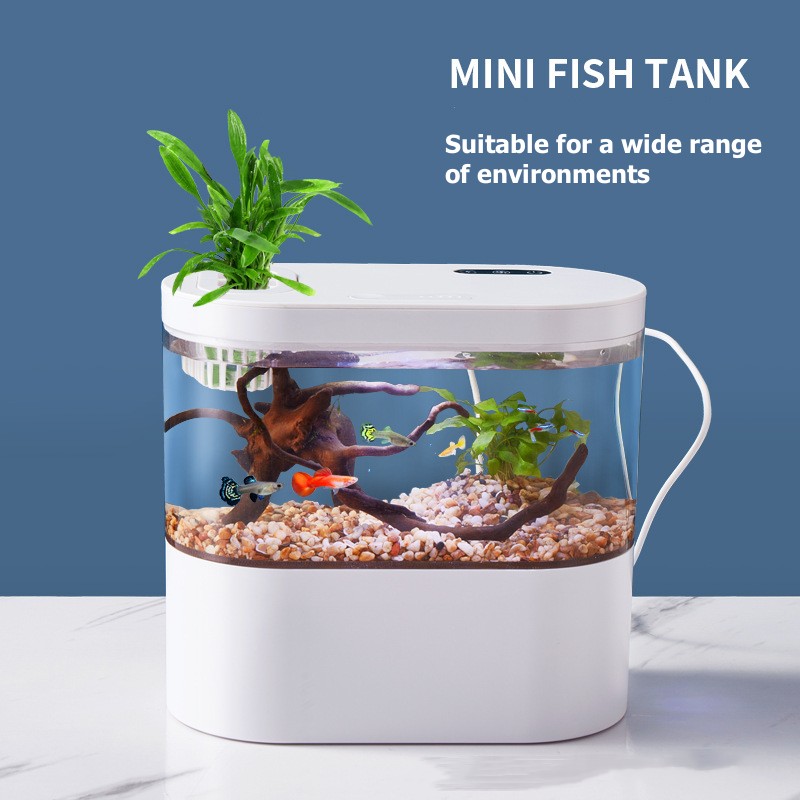 Aquário Mini Criativo para Mes - Betta Fish Tank avaliação e preço