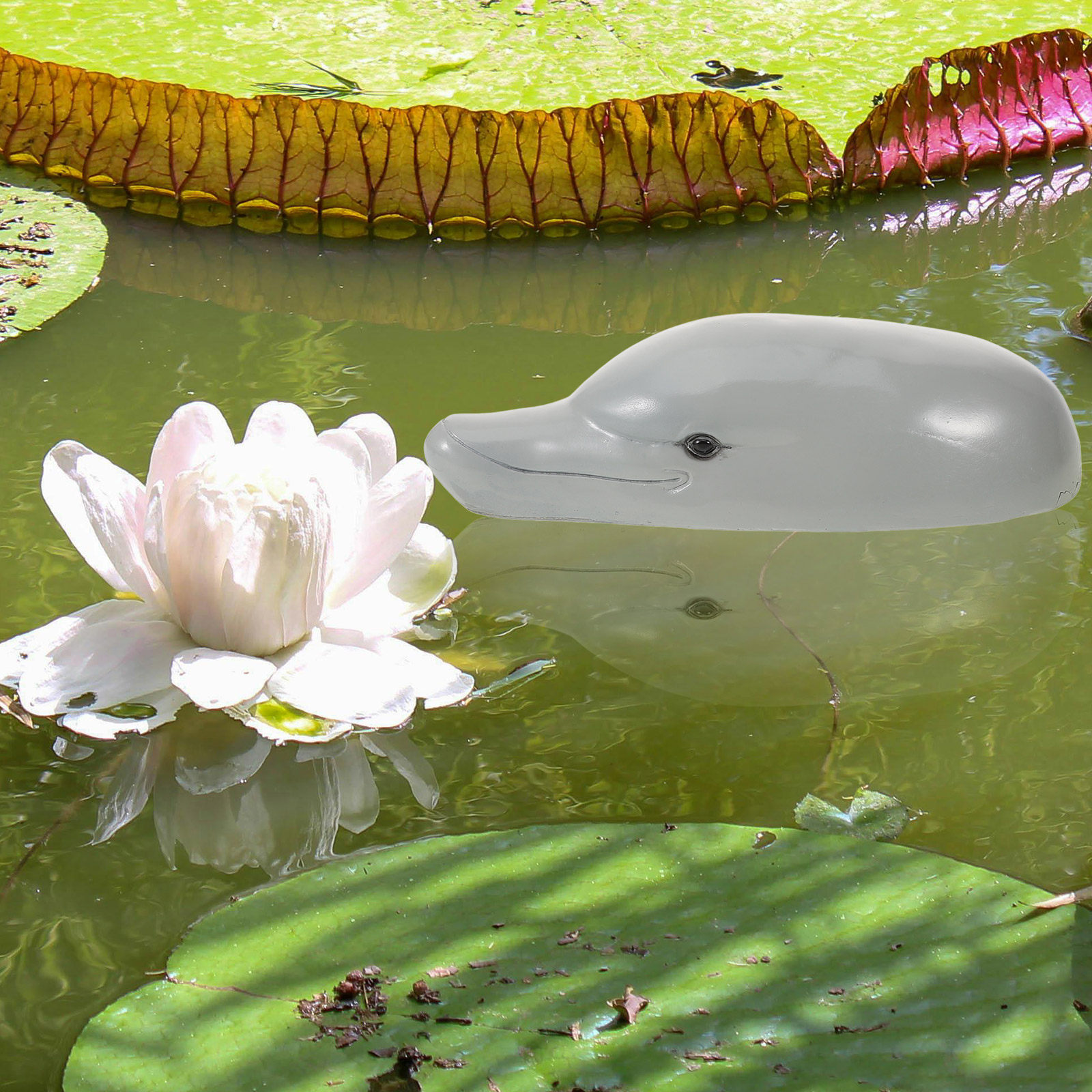 Ornamento de cabeça de golfinh - Aquarium Decor avaliação e preço