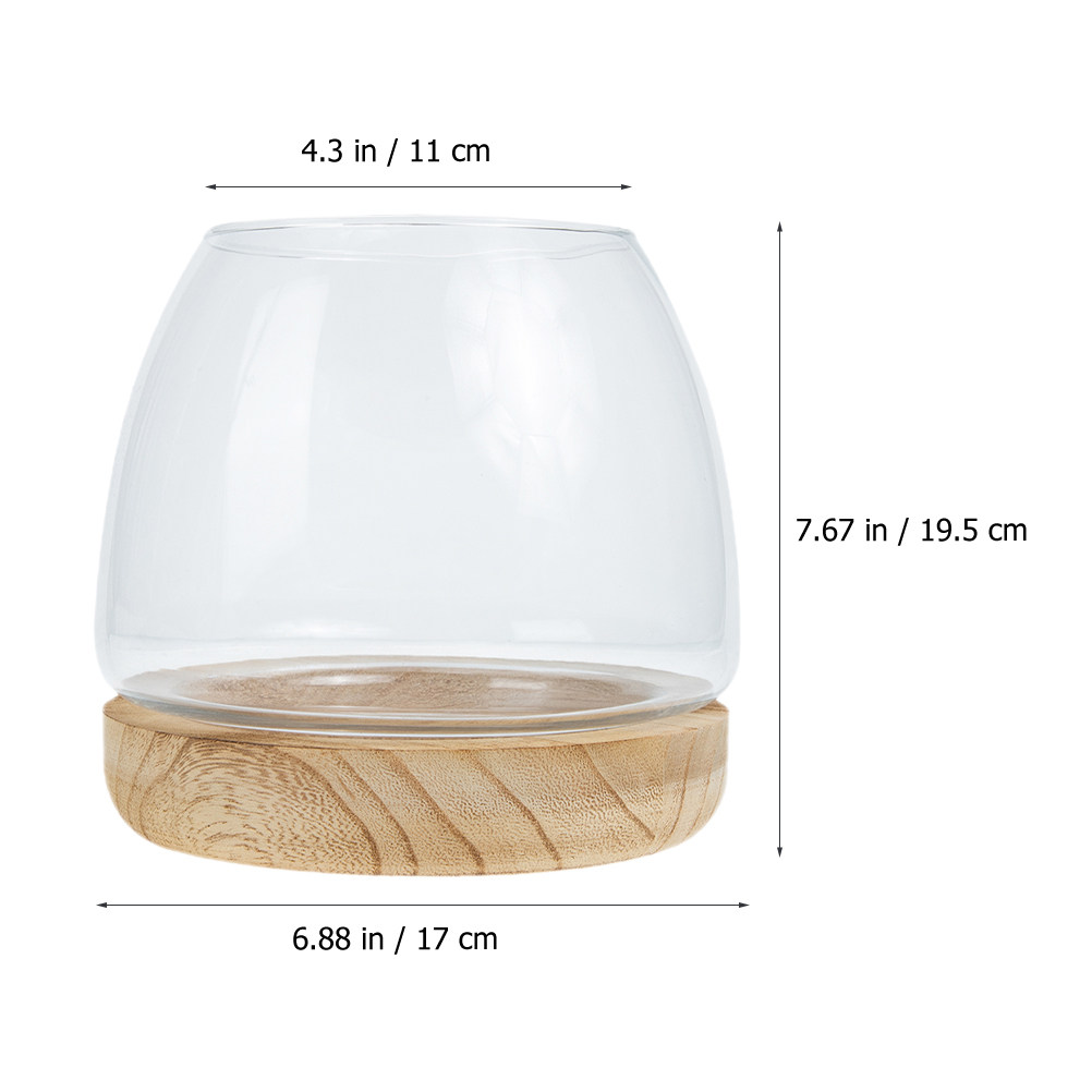 1 conjunto de terrário hidropô - Aquarium Plants avaliação e preço